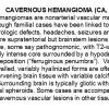 0A Cavernous angioma - Text