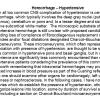 0A Hemorrhage, hypertensive - Text