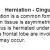 0A Herniation - Cingulate Text