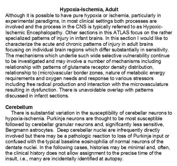 0A1 Hypoxia-Ischemia, adult - Cerebellum