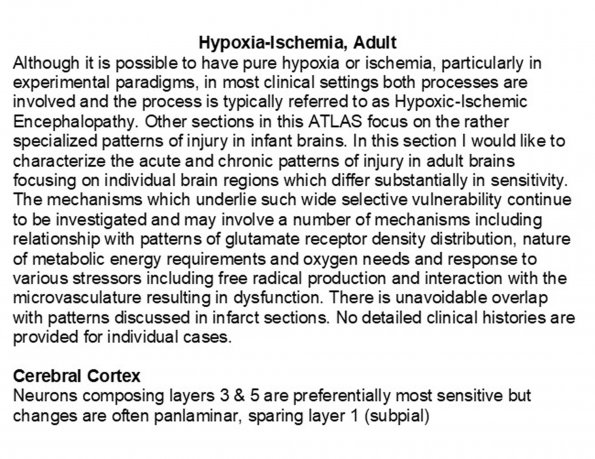 0A Hypoxia-Ischemia, adult - Text