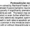 0A0 Pontosubicular Necrosis - Text