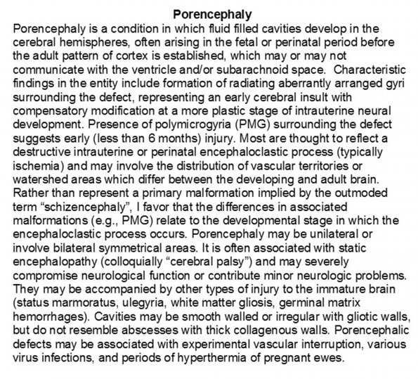 0A Porencephaly - Text