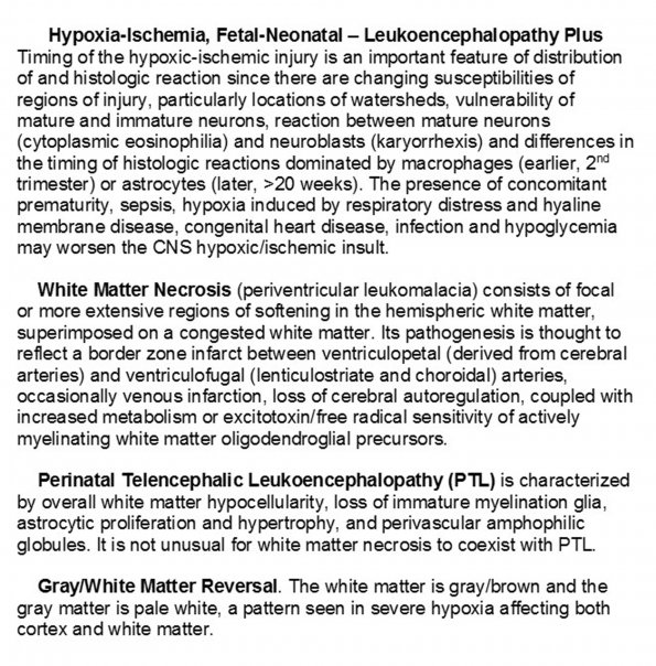 0A - Hypoxia-Ischemic - Fetal-Neonatal - Leukoencephalopathy Plus