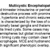 0A Multicystic Encephalopathy - Text