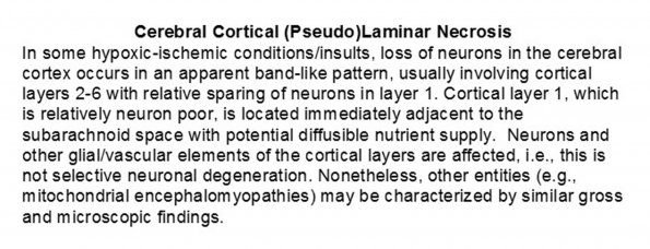 0A - (Pseudo)laminar necrosis