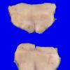 22B10 (Case 22) A.043