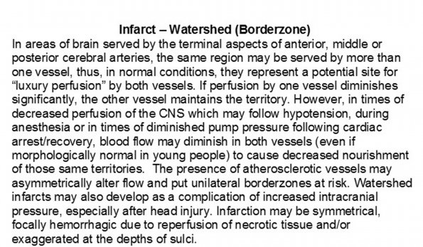 0A1 Infarcts, Watershed - Text