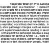 0A Respirator Brain (In vivo autolysis) - Text