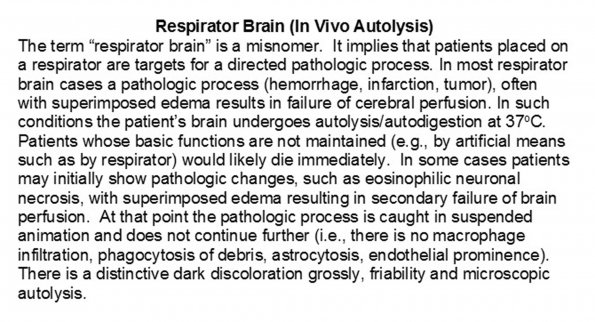 0A Respirator Brain (In vivo autolysis) - Text