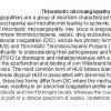 0A Thrombotic Microangiopathy & TTP - Text